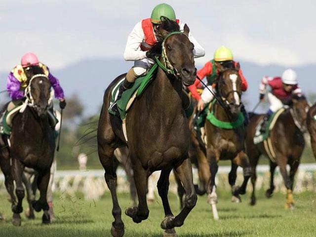 新潟記念唯一の3連単100万超え 武士沢友治騎手とアルコセニョーラの勝利