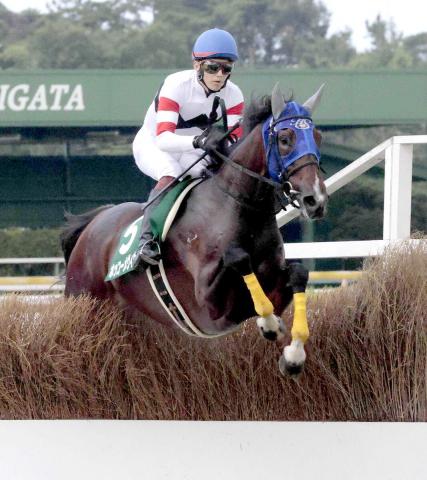 ジャンプ重賞4勝のホッコーメヴィウスが屈腱炎で引退　関西大学で乗馬に