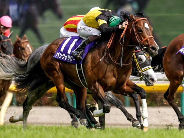 【キーンランドC出走馬・騎手確定】パンジャタワー＆松山弘平騎手、レイピア＆北村友一騎手など16頭