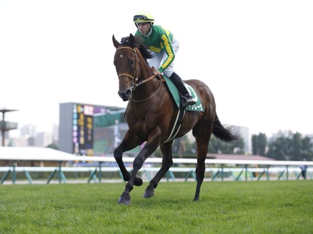 【有力馬動向】サトノレーヴが函館Wに登場！ オーラはさすがにGI馬/馬三郎のつぶやき
