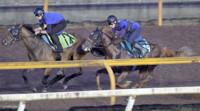 【POG】母はアルゼンチンG1馬　ミッキージャンプは水準以上の動き　23日中京5Rでデビュー