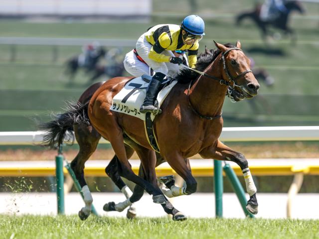 【週末情報】新潟の外回りは合う！ サノノグレーターが早め入厩で重賞制覇へ/馬三郎のつぶやき