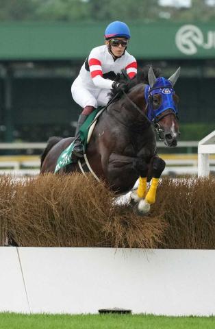 障害重賞で4勝　ホッコーメヴィウス登録抹消　関大で乗馬に