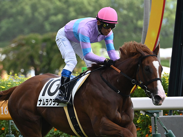 【キーンランドC】史上初のきょうだい制覇へ 重賞5勝馬の妹ナムラクララが挑む