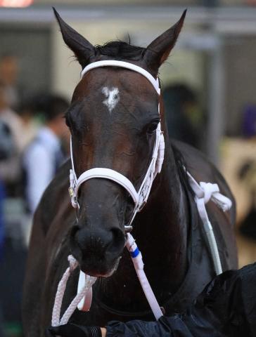 【ホッカイドウ競馬　Jpn3ブリーダーズGC　8.28発走】選定馬発表　オーサムVSダブルハート激突