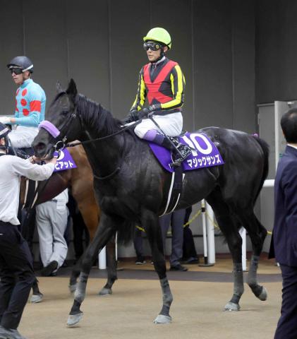 【注目馬動向】マジックサンズは富士Sで始動しマイルCSを目指す　今春のNHKマイルC2着
