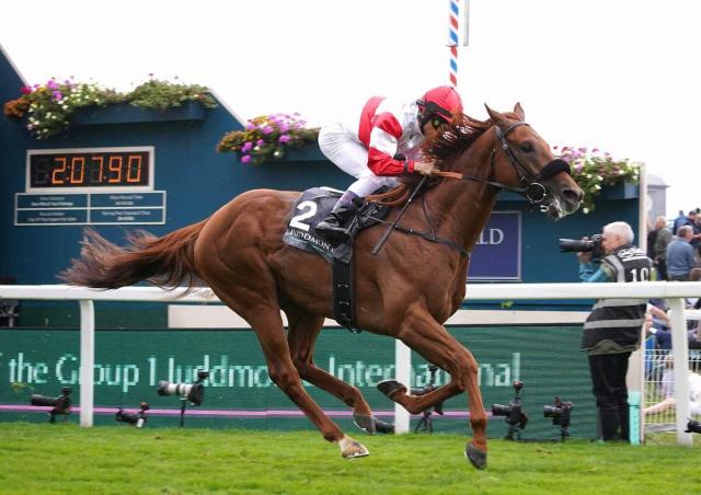 【英G1・インターナショナルS】ダノンデサイル伸びず5着…返し馬から“興奮”海外G1連勝ならず