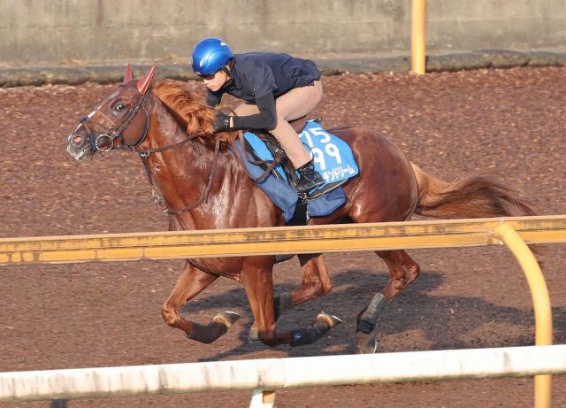 ビザンチンドリーム　ピリッと11秒8　坂口師「心身ともに成長してる」