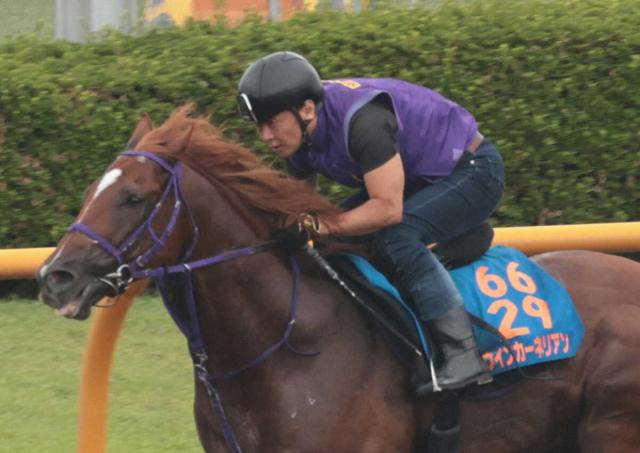 【キーンランドC】8歳ウインカーネリアン支える心強い相棒　千島助手は17年9歳馬エポワスでV経験