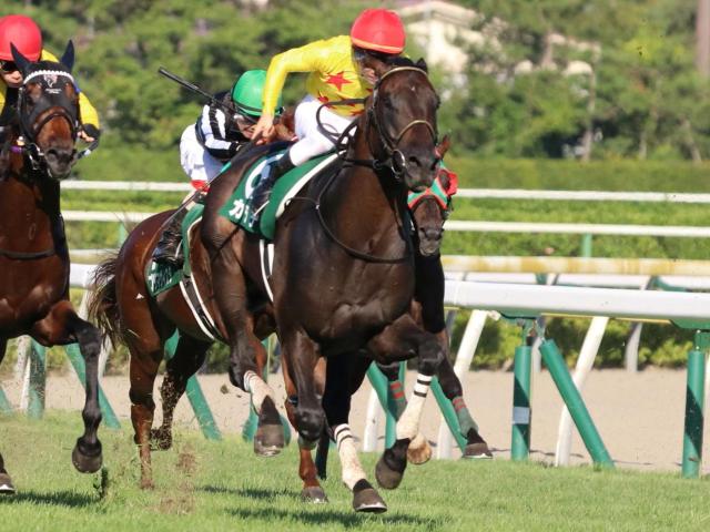 カラテが魅せた前走16着からの復活劇 22年の新潟記念を振り返る