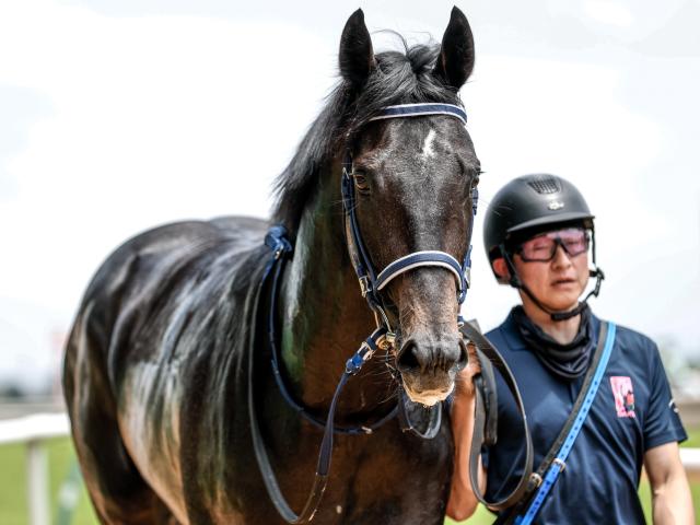 【新潟2歳S枠順確定】リアライズシリウスは8枠9番、フェスティバルヒルは4枠4番