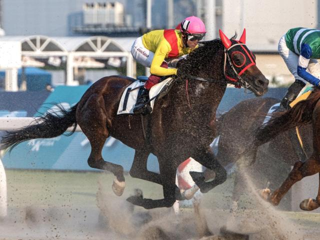 グラスワンダー産駒のファイナルワンダーが2勝目 今月8日に亡くなった父へ捧げる白星に