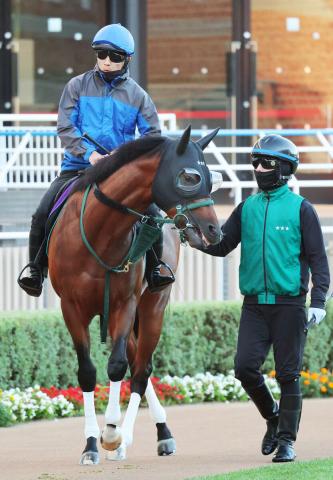 【キーンランドC】3歳マイル王パンジャタワーは3枠5番　3連勝中のカルプスペルシュは8枠16番