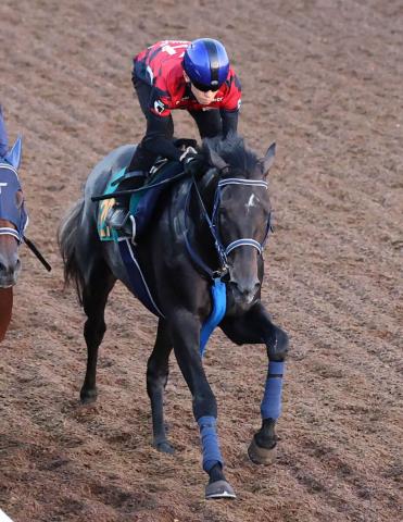 【新潟2歳S】初陣7馬身差Vリアライズシリウスは8枠9番　皐月賞馬の半妹フェスティバルヒルは4枠4番
