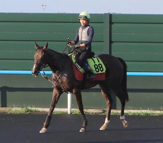 【POG】新馬を3馬身差圧勝のポペットが札幌2歳Sへ帰厩後初の追い切り　陣営「乗った感じは古馬っぽい」