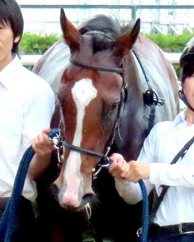 【キーンランドC】3連勝中のカルプスペルシュが入念に調整　陣営「いい状態を維持しています」