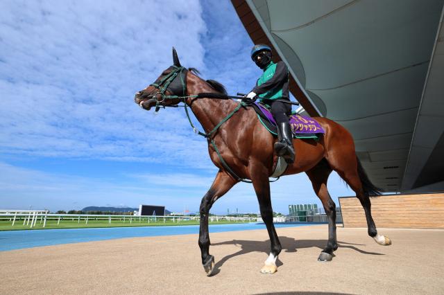 【キーンランドC】G1馬パンジャタワーはダートコースで調整　陣営「能力が本当に素晴らしい馬なので」