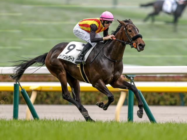 ウシュバテソーロ 日本テレビ盃 船橋競馬場キャッシュレス 記念馬券 ウシュバテソーロ 日本テレビ盃 船橋競馬場キャッシュレス 記念