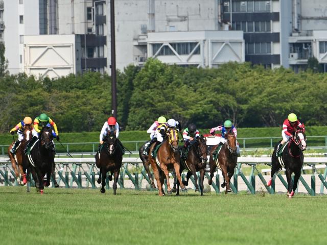 今週末の中京競馬でパドック周回時間の短縮を検討 JRAが暑熱対策について発表