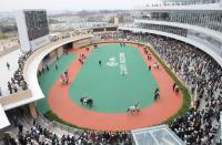 中京競馬場のパドック