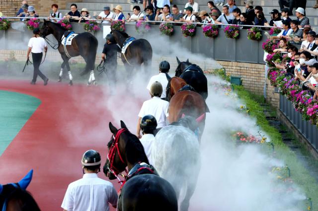 今週の中京競馬は暑熱対策でパドック周回時間が短縮の可能性も　競走時間帯の拡大は先週で終了