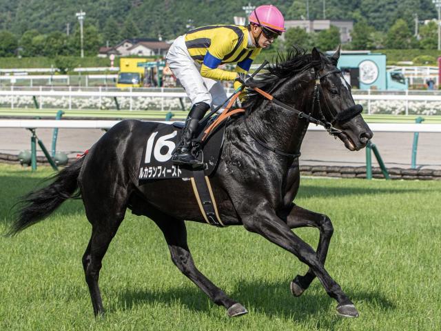 札幌芝はパワー型を狙え WASJ第2戦は道悪巧者のルカランフィーストに注目