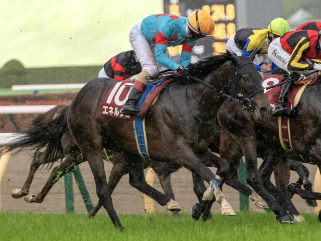 【新潟記念想定馬・騎手】エネルジコ、ブレイディヴェーグなど17頭