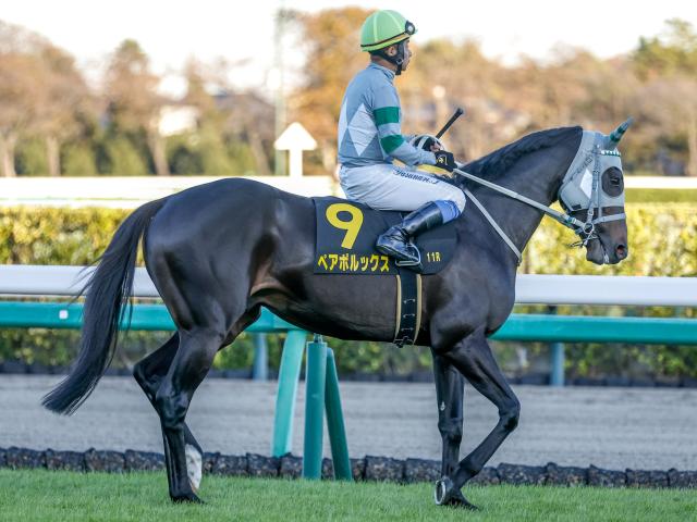 【週末情報】早め先頭押し切りVだ…ペアポルックスの重賞初制覇に期待/馬三郎のつぶやき