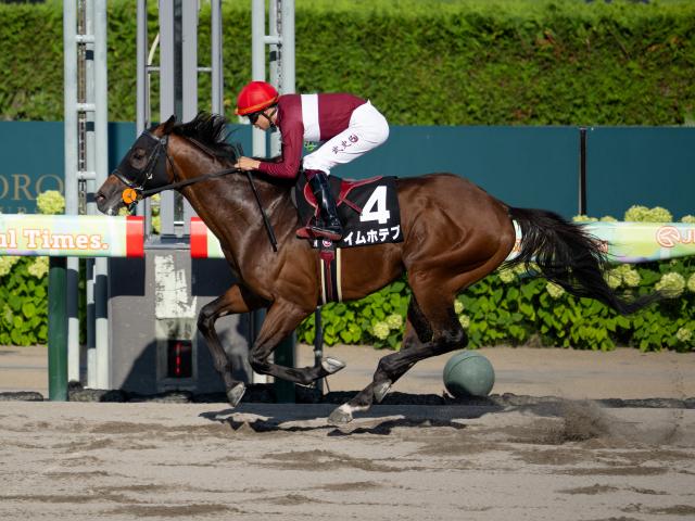 【有力馬動向】盛岡・不来方賞出走なら好戦可！ 体の張り目立つイムホテプ/馬三郎のつぶやき