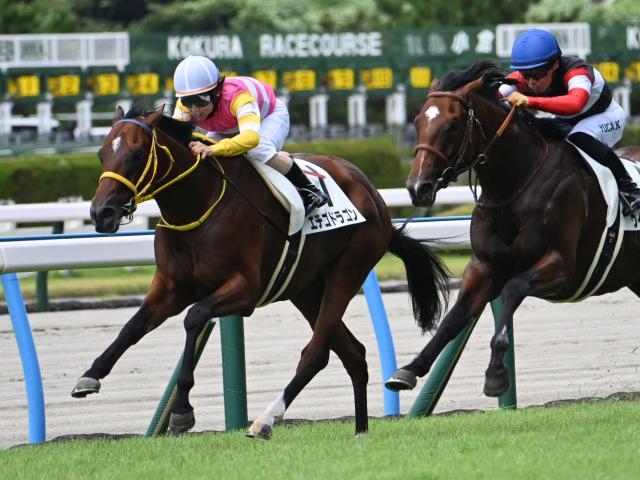 【POG】控えても切れるエチゴドラゴンは体調上向き 次戦は確勝級？/馬三郎のつぶやき