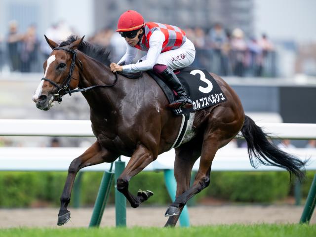 再値引きしました、スティルインラブ、三冠牝馬、的中馬券3点セット 3つのティアラに愛を。儚さをまといながら記憶に浮かぶ名牝