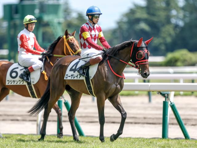 【新潟5R新馬戦結果】レイデオロ産駒ローザレイアが追い比べを制す