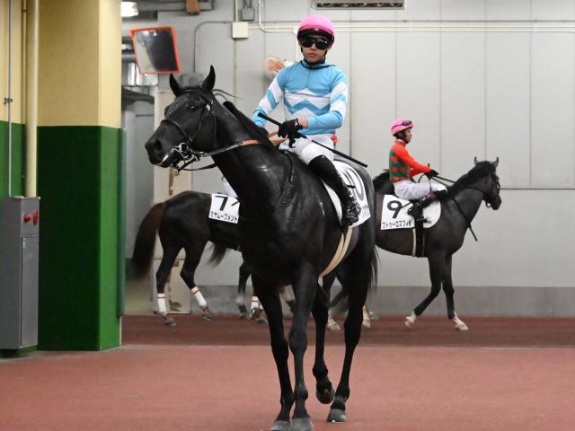 【メイクデビュー中京5Rレース後コメント】アルスマグナ高杉吏麒騎手ら