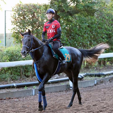 【新潟2歳S】前日の単勝1番人気はリアライズシリウスの2・6倍　単勝10倍以下5頭の混戦に　前売りオッズ