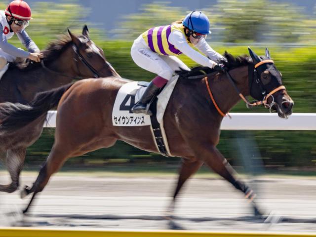 【中京2歳S】フォーウィールドライブ産駒がJRA重賞初挑戦初Vなるか セイウンアインスが一発狙う