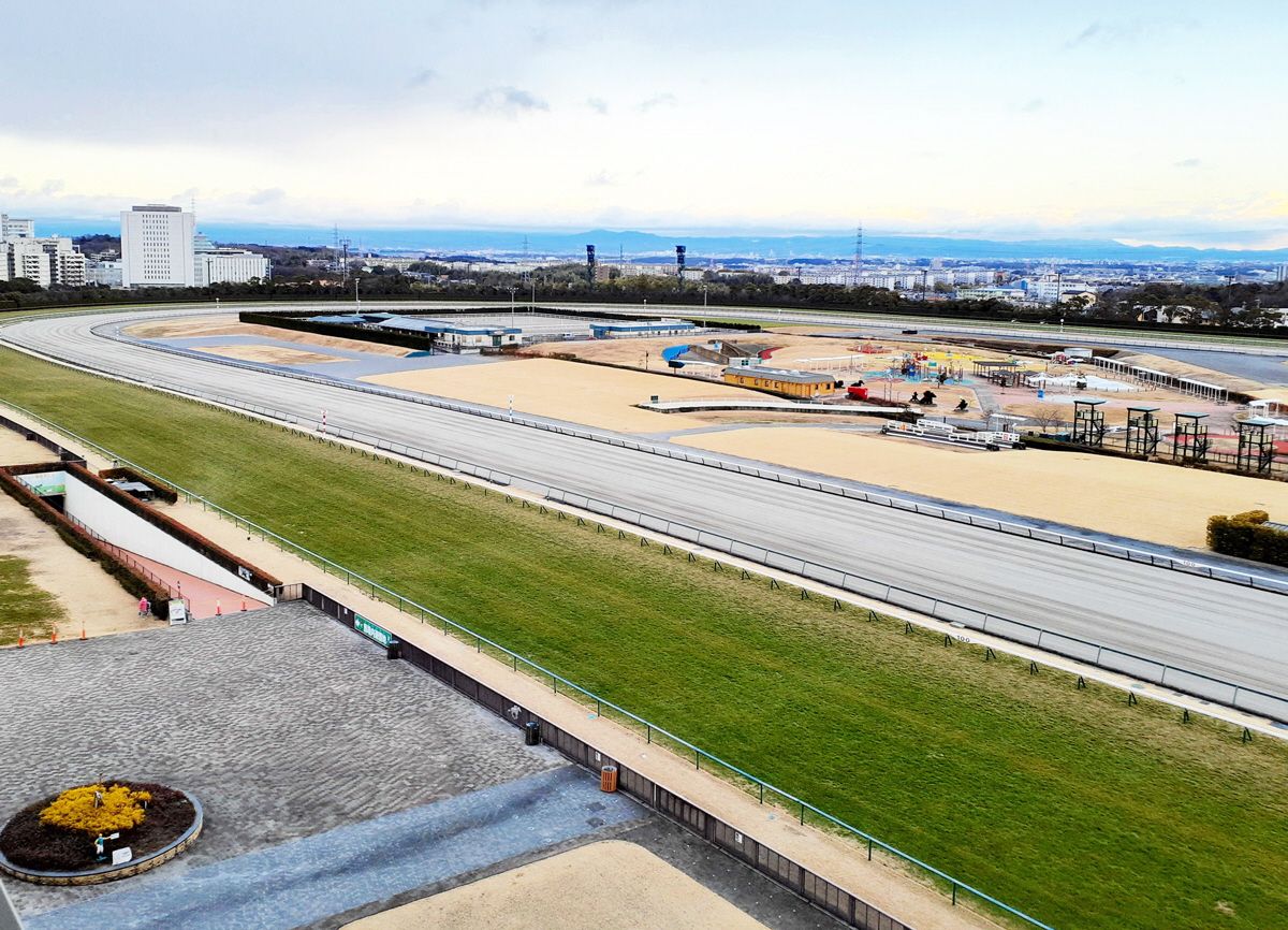 【新馬戦】アルスマグナ　最速タイの末脚でＶ　高杉が素質を絶賛「追ってからの反応もすごく良かった」