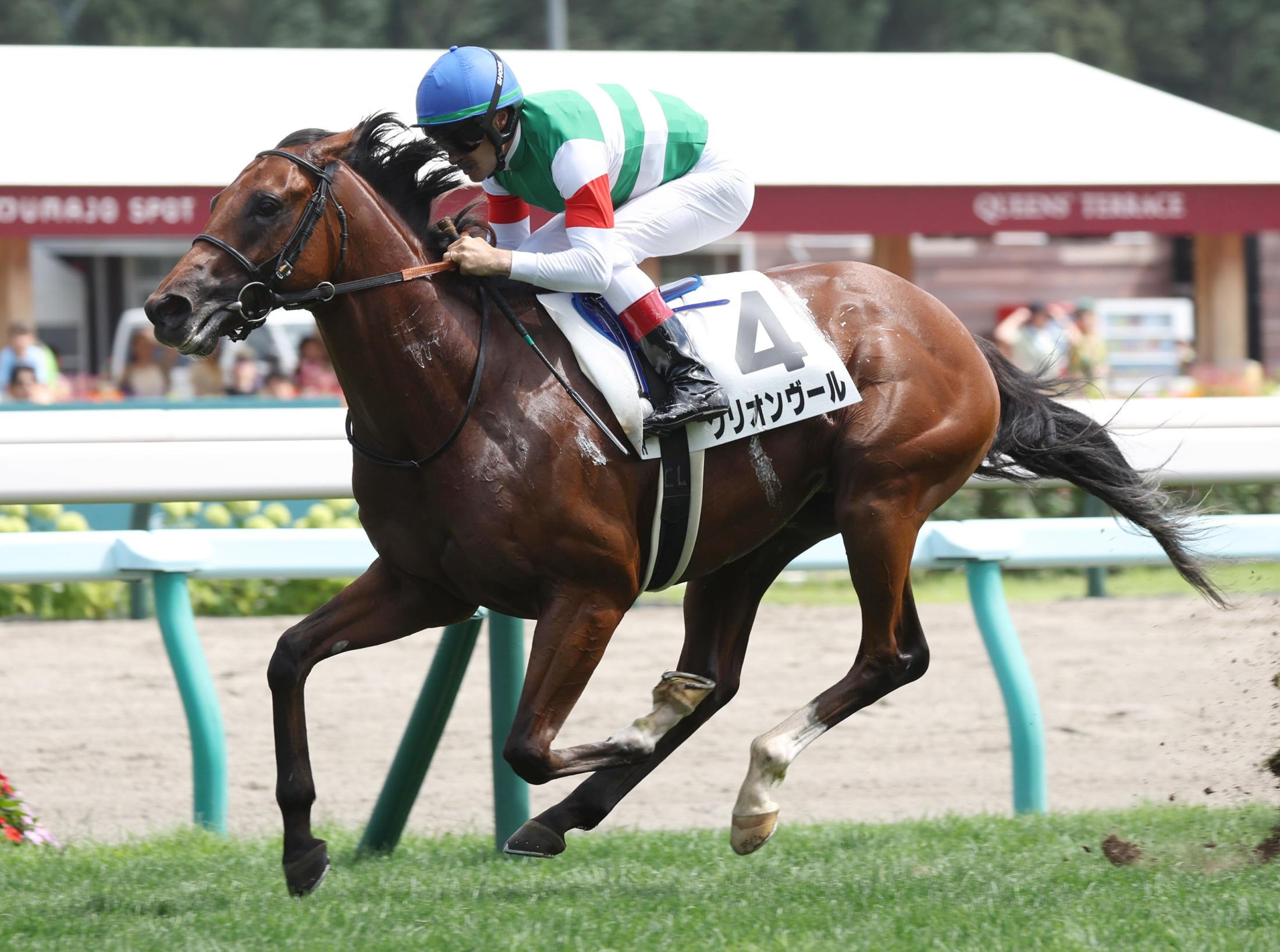 【新馬戦】グリオンヴール　７馬身差圧勝で断然人気に応えた　ルメール「いいデビュー戦でした」