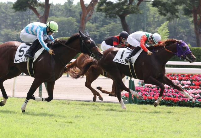 【新潟1R・2歳未勝利】ガリレアが直線で差し返して初勝利!　杉原誠人騎手「まだまだ良くなる。楽しみ」