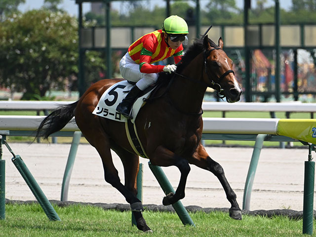 【中京5R新馬戦結果】モーリス産駒ソラーロが押し切りV