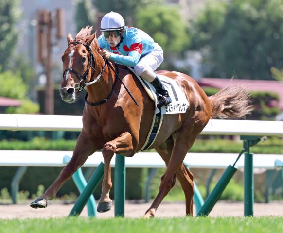 凱旋門賞で日本馬の悲願に追い風！25年から導入される3つの