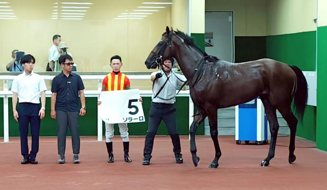 【中京5R・2歳新馬】近親にヴィクトワールピサ　初陣Vソラーロに亀田温心騎手「まだ良くなりそう」