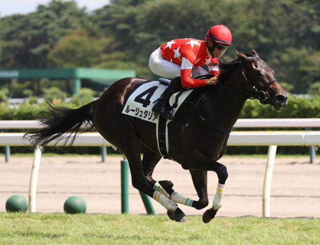 【新潟6R・2歳新馬戦】4番人気ルージュダリアが逃げ切りV　荻野極「本当にいい馬です」