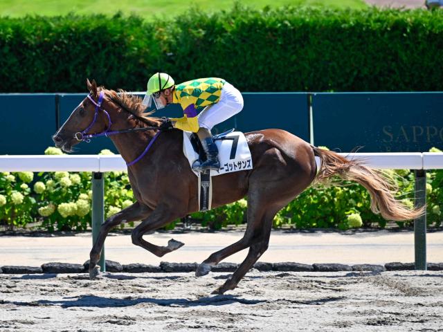 矢作調教師が今年もフランス1歳セールで良血馬を購入 フランケル