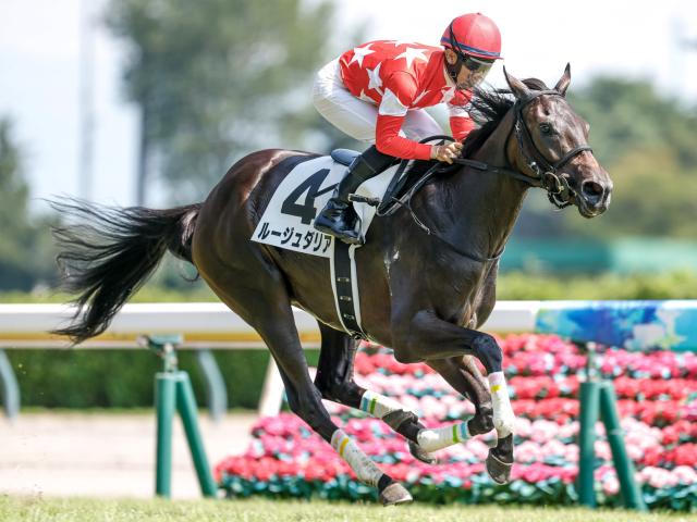 【新潟6R新馬戦結果】リオンディーズ産駒ルージュダリアが5馬身差で圧勝