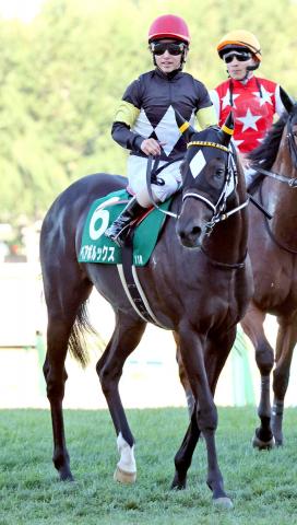 【キーンランドC】4番人気ペアポルックスが好位からしぶとく2着　松若風馬騎手「展開は理想的」