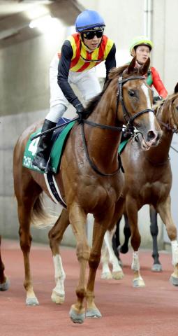 【新潟2歳S】皐月賞馬の半妹フェスティバルヒルは最速の上がりで追い込むも3着まで　石橋脩騎手「2着は欲しかった」
