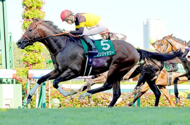 【キーンランドC】パンジャタワーが始動戦V　目標の豪5億円レースへ「いい前哨戦になったかな」松山弘平騎手
