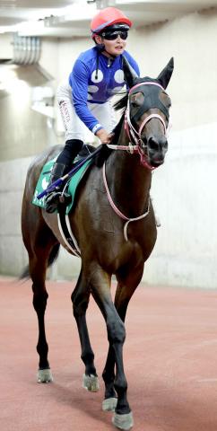 【新潟2歳S】6番人気タイセイボーグが2着争い制して賞金加算　田口貫太騎手「馬場のいいところを通れた」