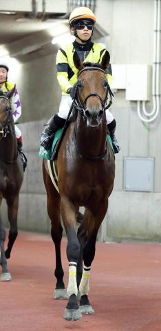 【新潟2歳S】2番人気サノノグレーターは伸び切れず6着　横山琉人騎手「反応は前回ほどではなかった」