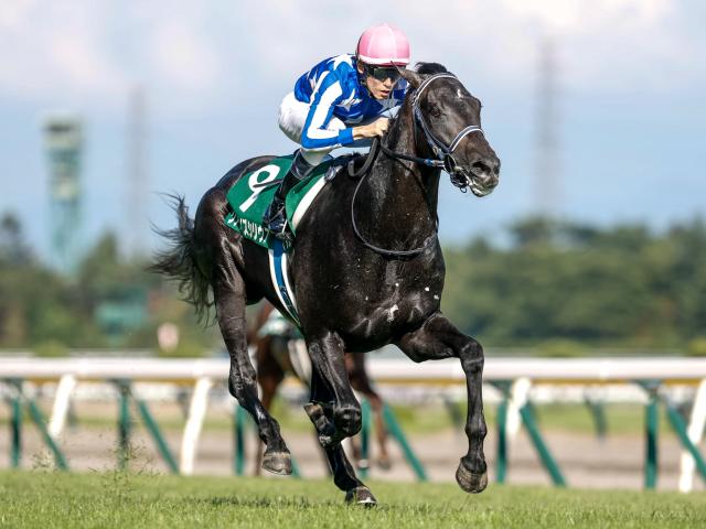 【新潟2歳S結果】リアライズシリウスが人気に応え4馬身差V！ 無傷2連勝で重賞制覇